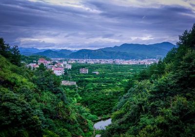 一村一品,帶你感受招賢鎮鄉村之美