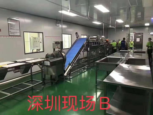 探尋莆田大型洗菜機(jī)廠家的信息技術(shù)之路